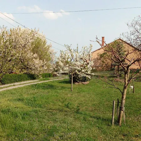 Panorama Pihenohaz Balatonalmádi