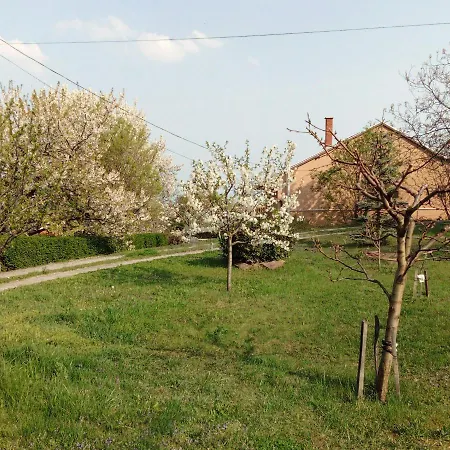 Panorama Pihenohaz Balatonalmadi