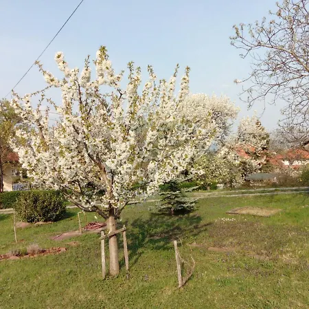 Apartment Panorama Pihenohaz Balatonalmadi