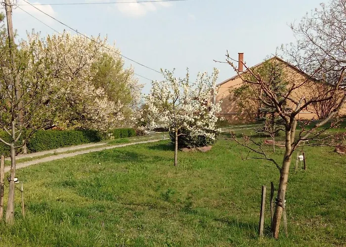 Panorama Pihenohaz Balatonalmádi