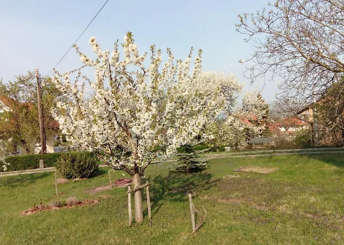דירה Panorama Pihenohaz Balatonalmádi